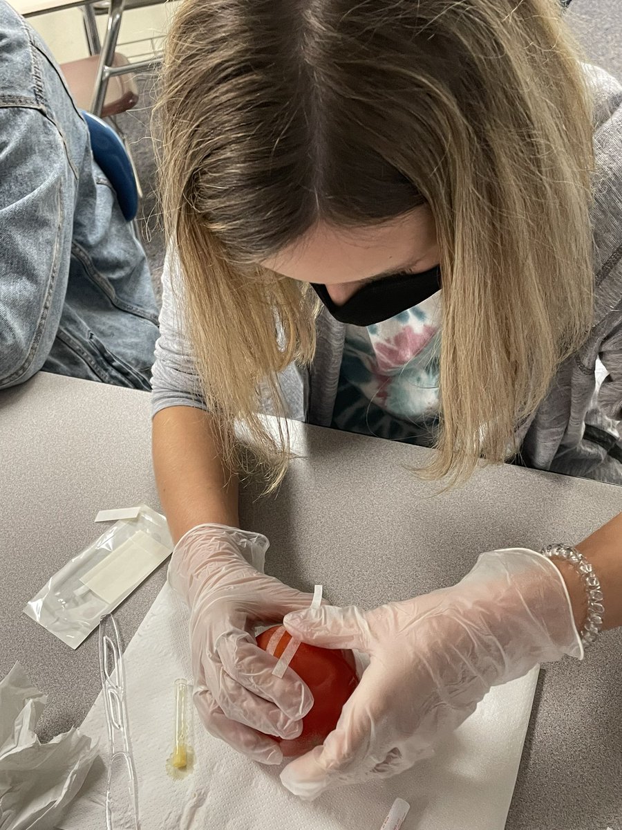 We created wounds last week, and this week we learned how to close them! #clevelandproud <a href="/TheOfficialCvHS/">Cleveland High NC</a> #handsonlearning
