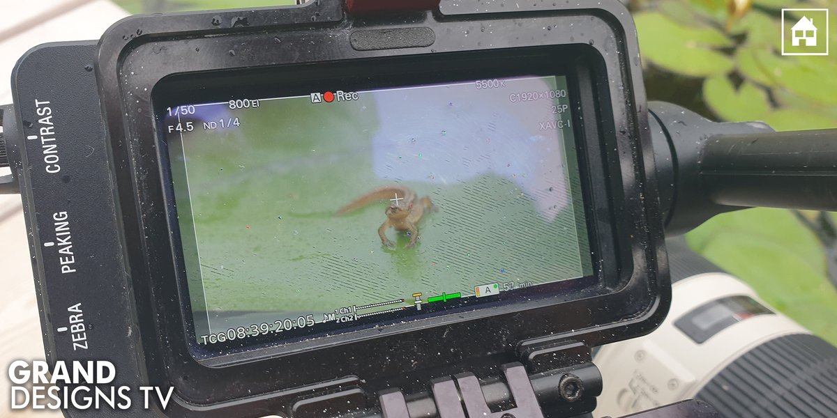 granddesigns tweet media