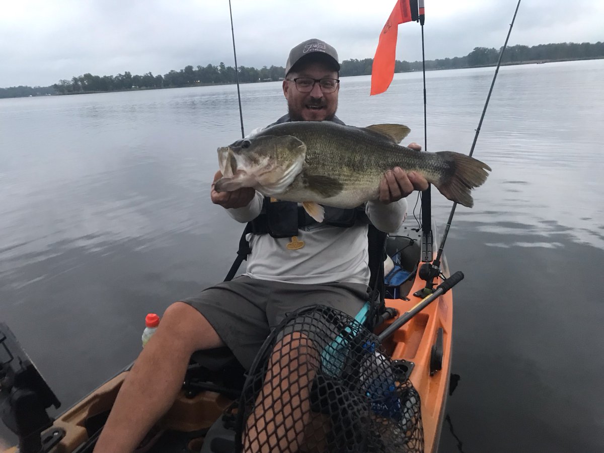 Fish Hog tweet media