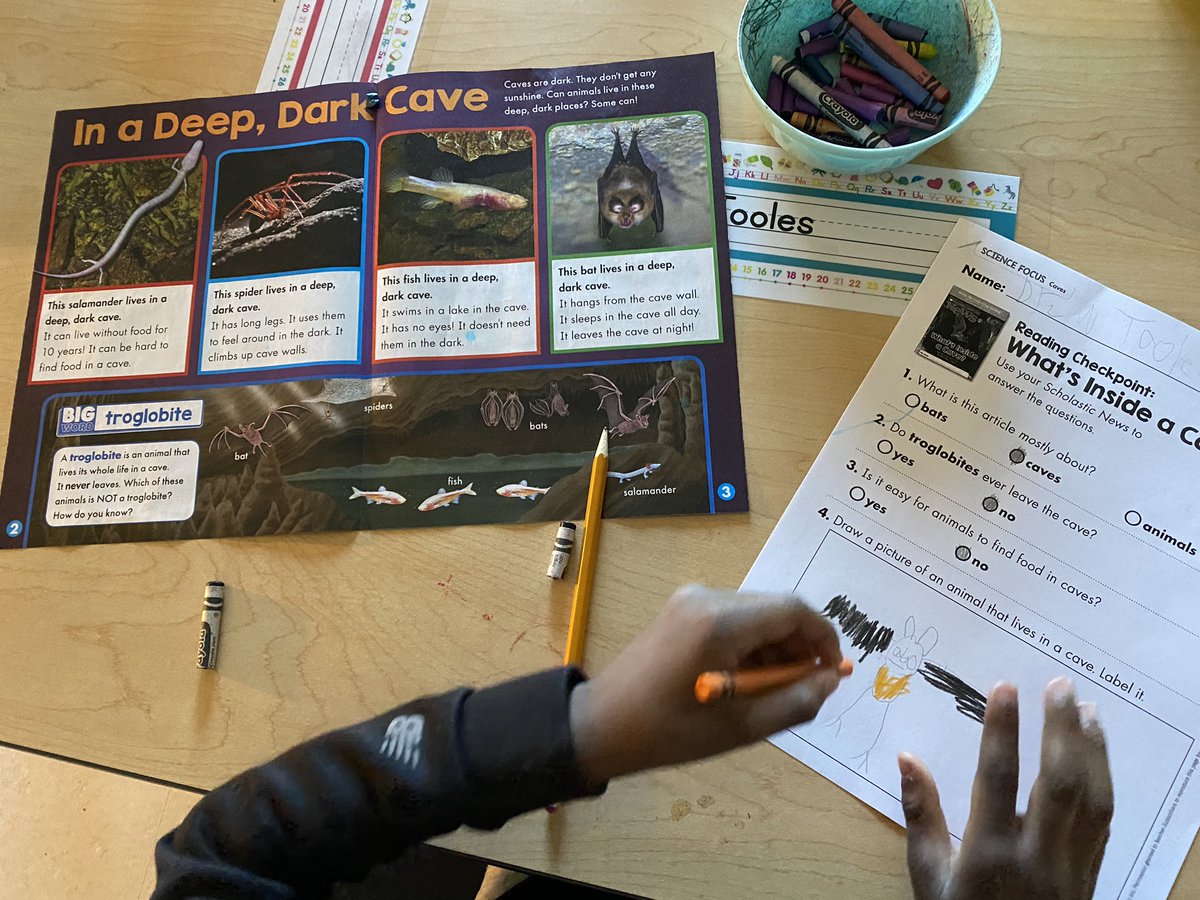 MrsMMatson's tweet photo. Today we read a scholastic news about what’s inside a cave!!  We learned about animals who live in a cave. Ask your child what a troglobite is!!!! https://t.co/gFQqqqA22j