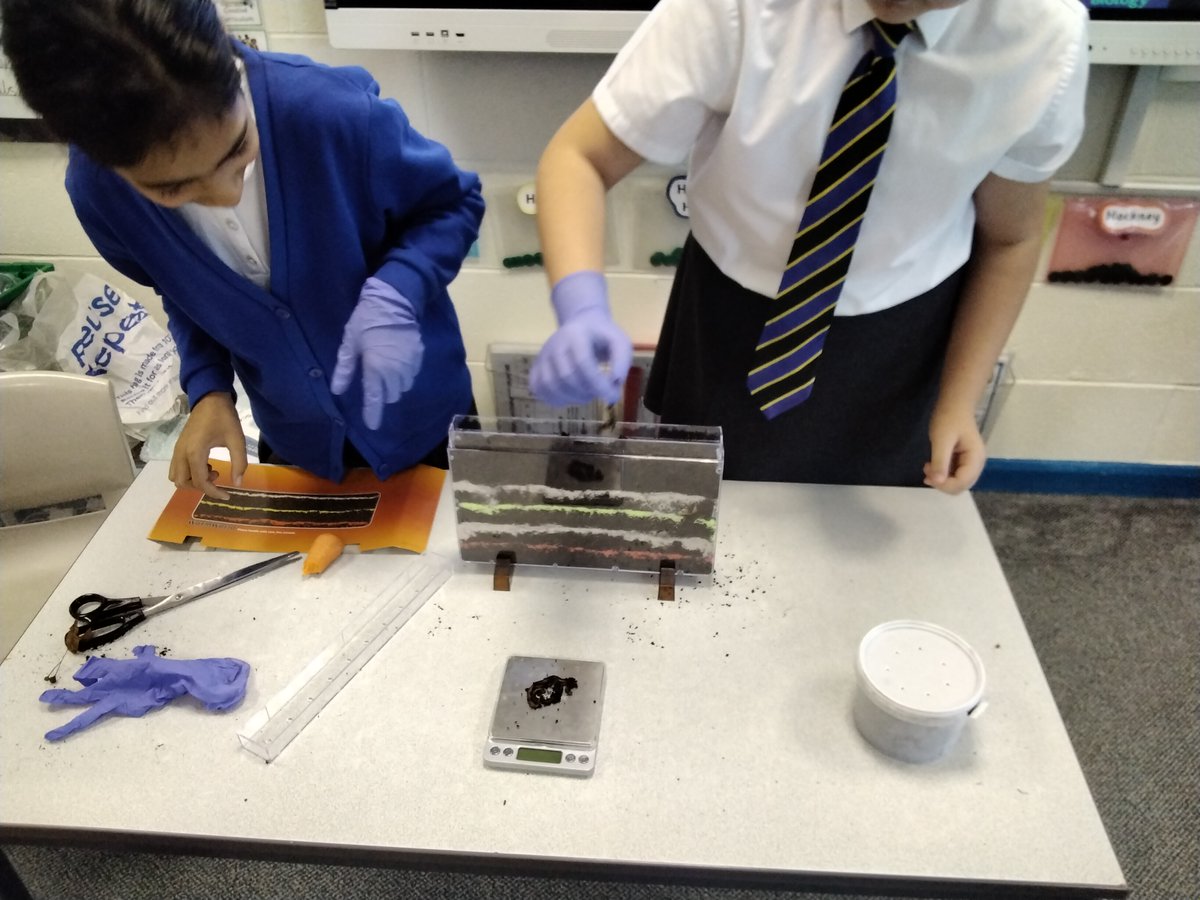 DeltaGreengates's tweet photo. #Year5GG had a brilliant time exploring the reproduction of worms and crickets by setting up our own wormery and cricket habitat. #deltasciencelab @Empiribox #TeamGGscience #TeamGG https://t.co/3c8zhskniY