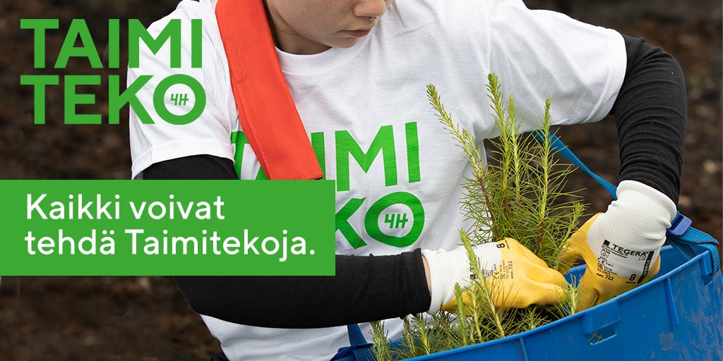 Miksi äänestää Taimitekoa <a href="/K3FIN/">Keskuskauppakamari</a> Vuoden vastuullisuusteoksi? Fakta 3: Taimitekoon voi osallistua kuka tahansa - yritykset, yhteisöt, kunnat, säätiöt, liitot, järjestöt ja myös yksityishenkilöt 🙌 Äänestä täällä 👉kauppakamari.fi/vastuullisuus/… #taimiteko #4hsuomi #vastuullisuus