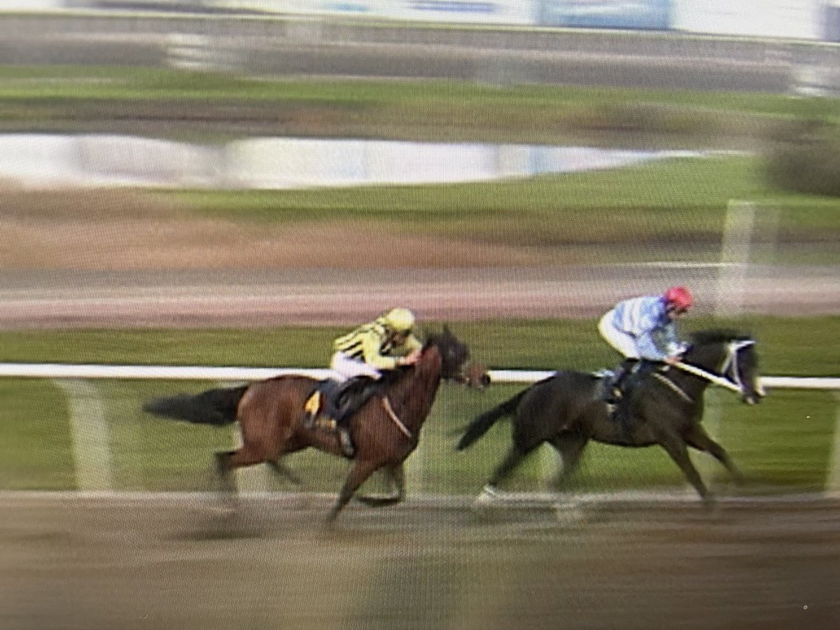 Annette Lennon tweet media