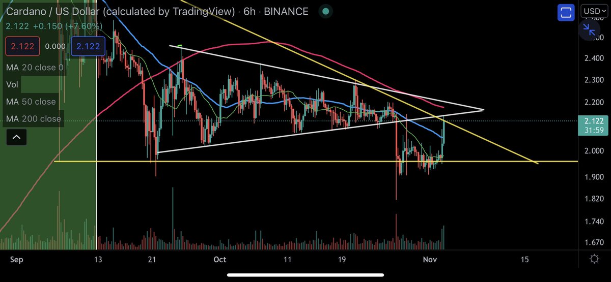 Dan Gambardello tweet media