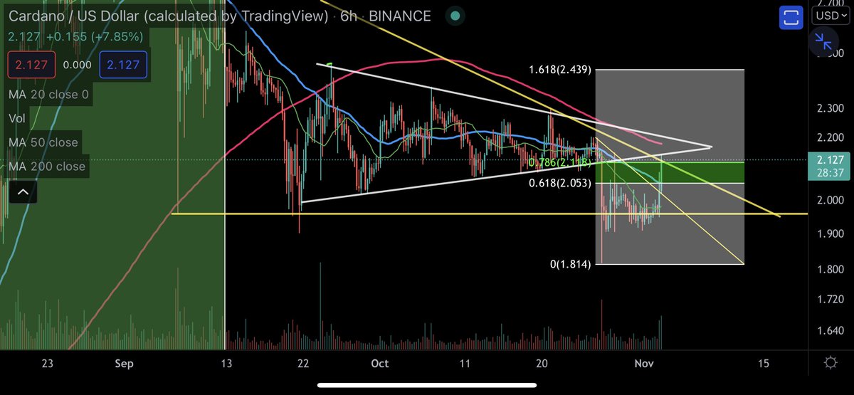 Dan Gambardello tweet media