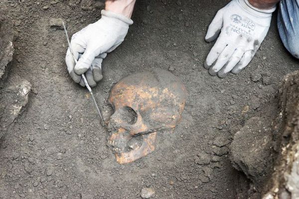 IsralMutombo11's tweet photo. Urgent : Grâce à une main forte des experts de la police scientifique française, une découverte macabre à #Mitendi.  Des ossements humains retrouvés dans la concession du Général Djadjidja, parcelle qui a servie le cadre pour enterrer Fidèle Bazana, le chauffeur de Chebeya https://t.co/QPYbI1iTTh