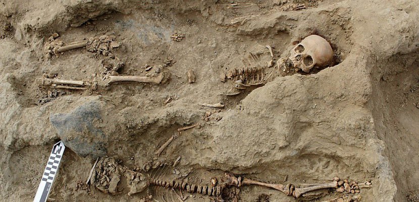 IsralMutombo11's tweet photo. Urgent : Grâce à une main forte des experts de la police scientifique française, une découverte macabre à #Mitendi.  Des ossements humains retrouvés dans la concession du Général Djadjidja, parcelle qui a servie le cadre pour enterrer Fidèle Bazana, le chauffeur de Chebeya https://t.co/QPYbI1iTTh
