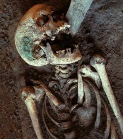 IsralMutombo11's tweet photo. Urgent : Grâce à une main forte des experts de la police scientifique française, une découverte macabre à #Mitendi.  Des ossements humains retrouvés dans la concession du Général Djadjidja, parcelle qui a servie le cadre pour enterrer Fidèle Bazana, le chauffeur de Chebeya https://t.co/QPYbI1iTTh