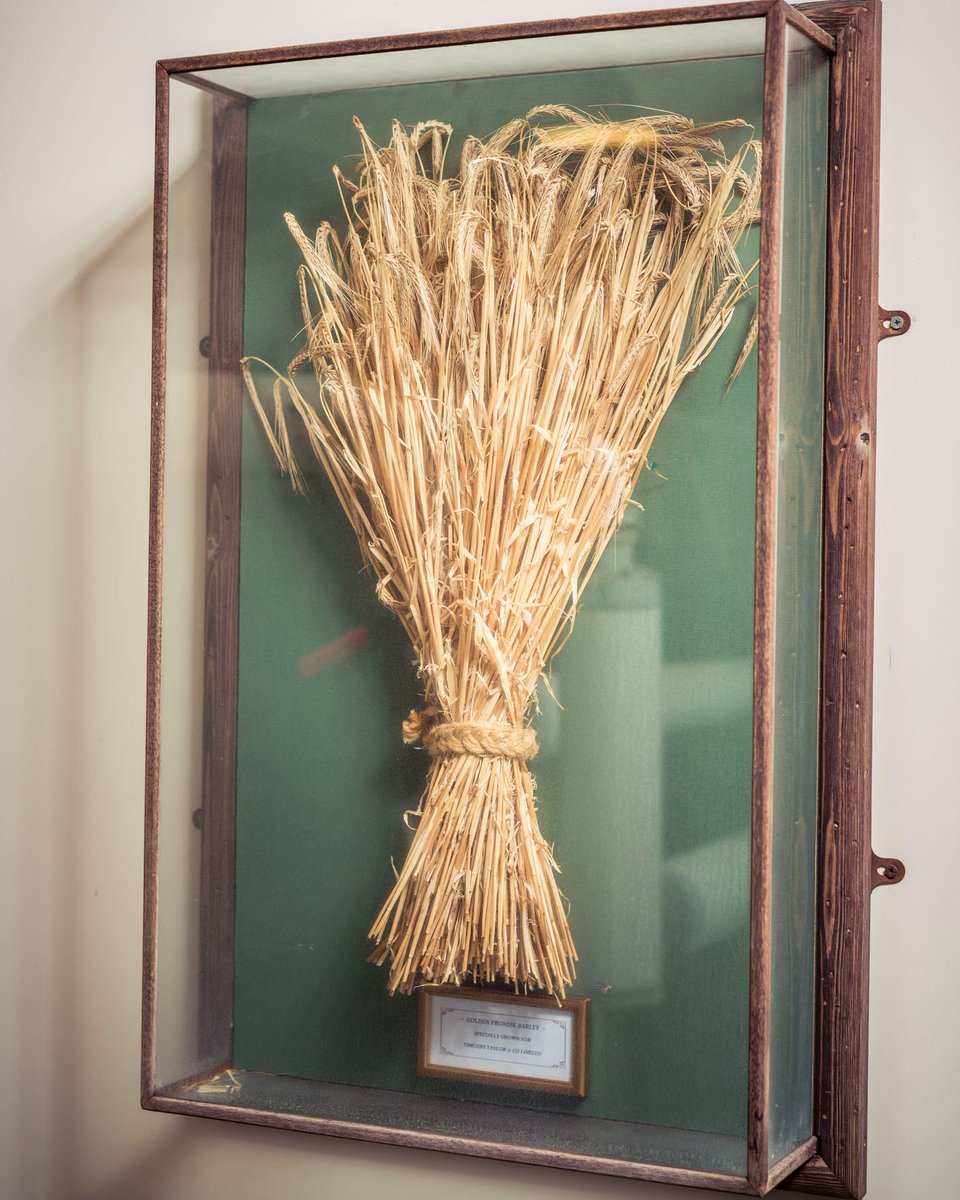 TimothyTaylors's tweet photo. This. This is how much we adore the Golden Promise barley that goes into our beers.

@SimpsonsMalt https://t.co/uHZmAieupp