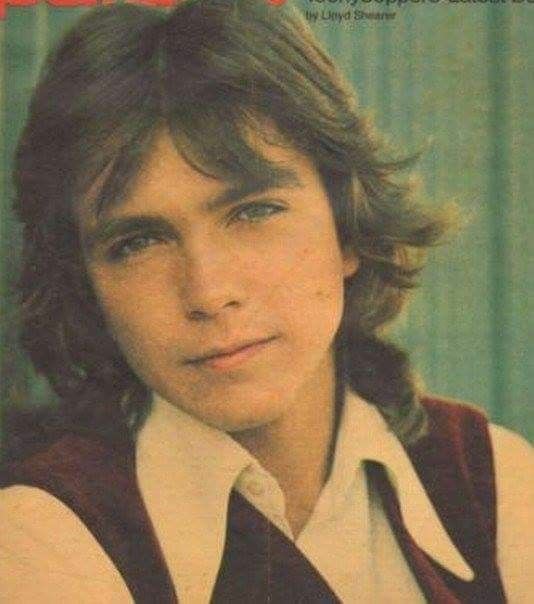 Jess22bsb's tweet photo. Oh my.. ❤❤❤❤ #DavidCassidy #classiccutesypinup #70s #dreamyboy https://t.co/ewEh6w5ZiL