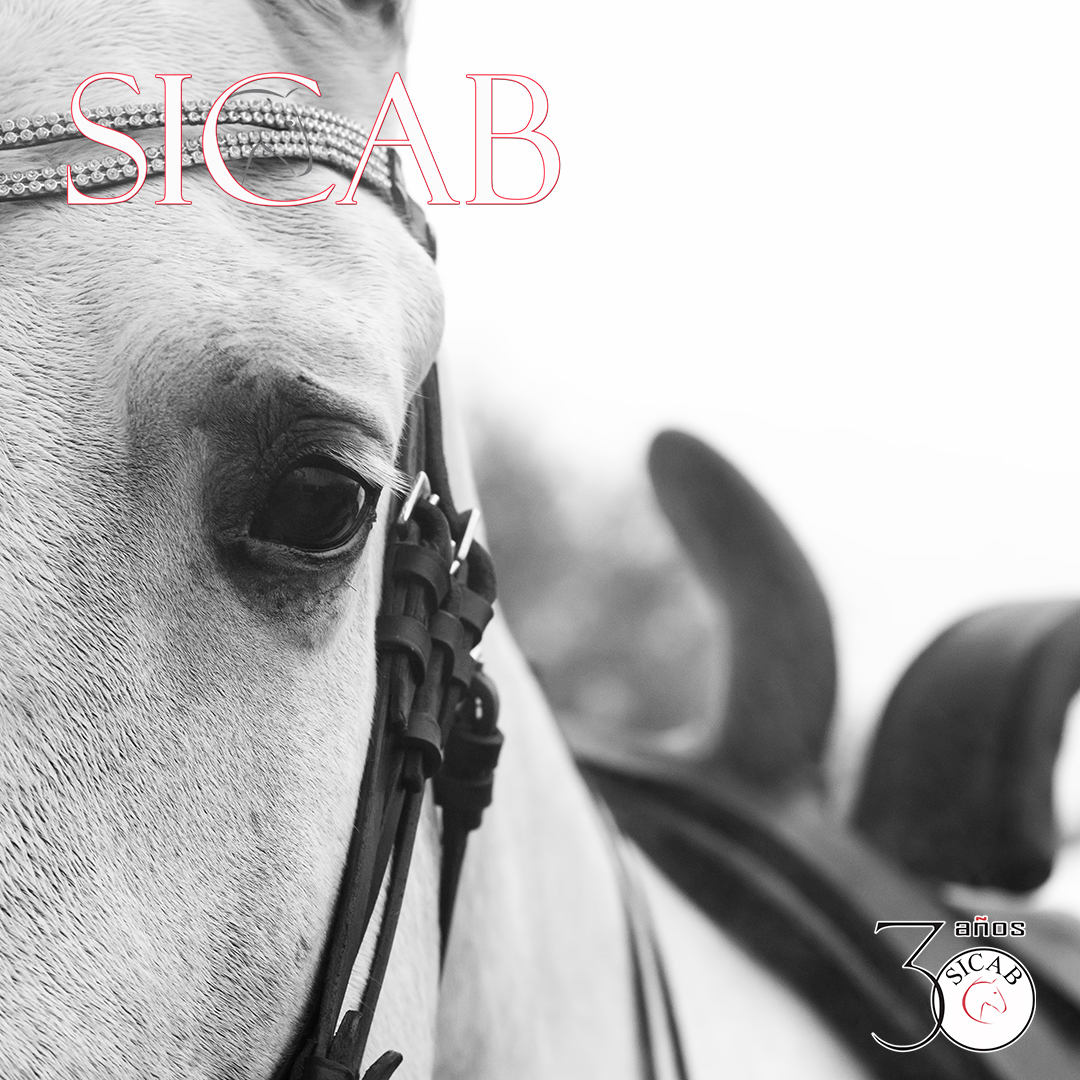 SICABOficial's tweet photo. 📢¡Atención!, mañana día 4 a las 18:59 h. finaliza el plazo de inscripción para el resto de disciplinas.
🔗https://t.co/hTUarNdEZU
#SICAB21 #SICABcumple30años #Sevilla #CaballoEspañol #CaballosPRE #PuraRazaEspañola #FuncionalidadPRE #DomaClasica #AltaEscuela #Amazonas #Enganche https://t.co/IIVMBD8Xce