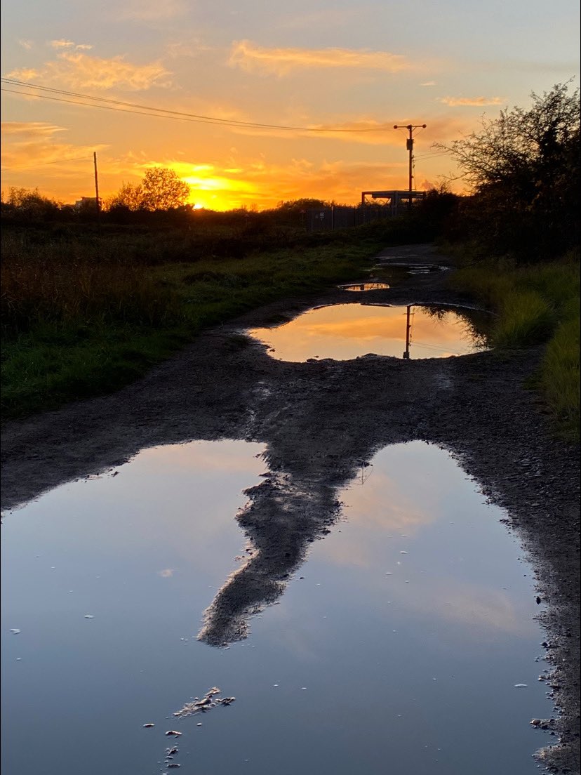 Poppy Patrol tweet media