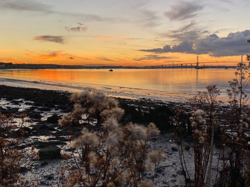 Poppy Patrol tweet media