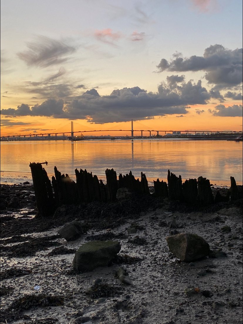 Poppy Patrol tweet media