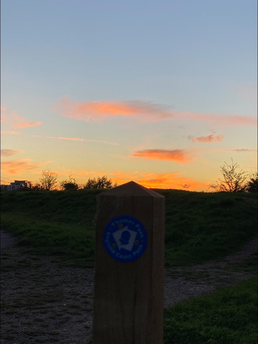 @sspcampaign Tuesday walking home from Swanscombe Marshland Kent ☀️capturing the sun going down #sun #magical #sunset #landscapes #riverwalk @RSPBEngland @RiverThames @KentScenes @kentwalkslondon @KentWildlife 🌅