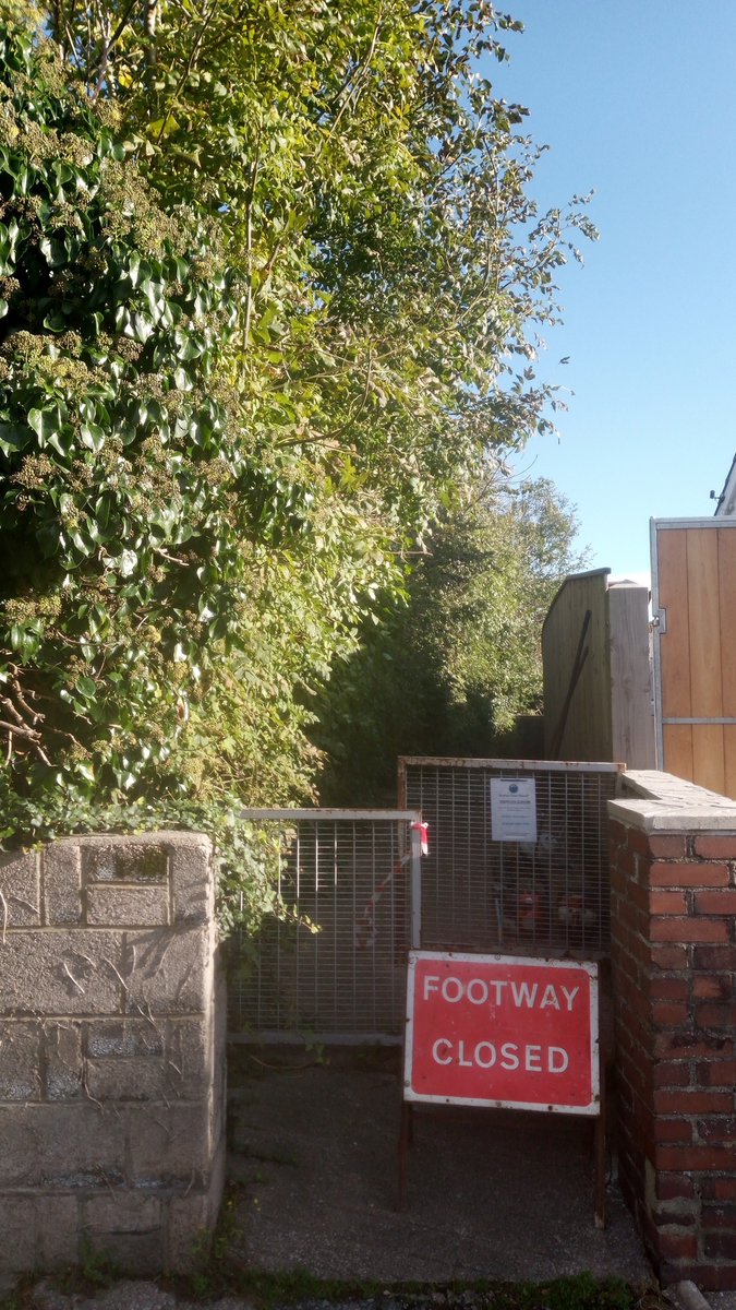 brixhamtc's tweet photo. ***LENGTHSMEN UPDATE***
With the early November weather staying onside, the lengthsmen carried out a big cutback job on the alleyway at the junction of Cudhill Road / Greenover Road
#looksmuchbetter #keepbrixhambeautiful #makingadifference https://t.co/lRIvX6keW2