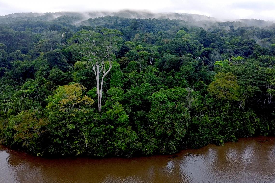 Francetele's tweet photo. 🌍🌿#Environnement #COP26 | Cap sur la forêt guyanaise à la rencontre de la communauté amérindienne des #Wayana
Conserver leur identité au sein d'une nature qu'ils défendent est une lutte permanente

"Wayana, les enfants de la forêt" #LaLigneBleue #OutreMer
⏰À 00h30
📺@France3tv https://t.co/wfGKzcDbXi