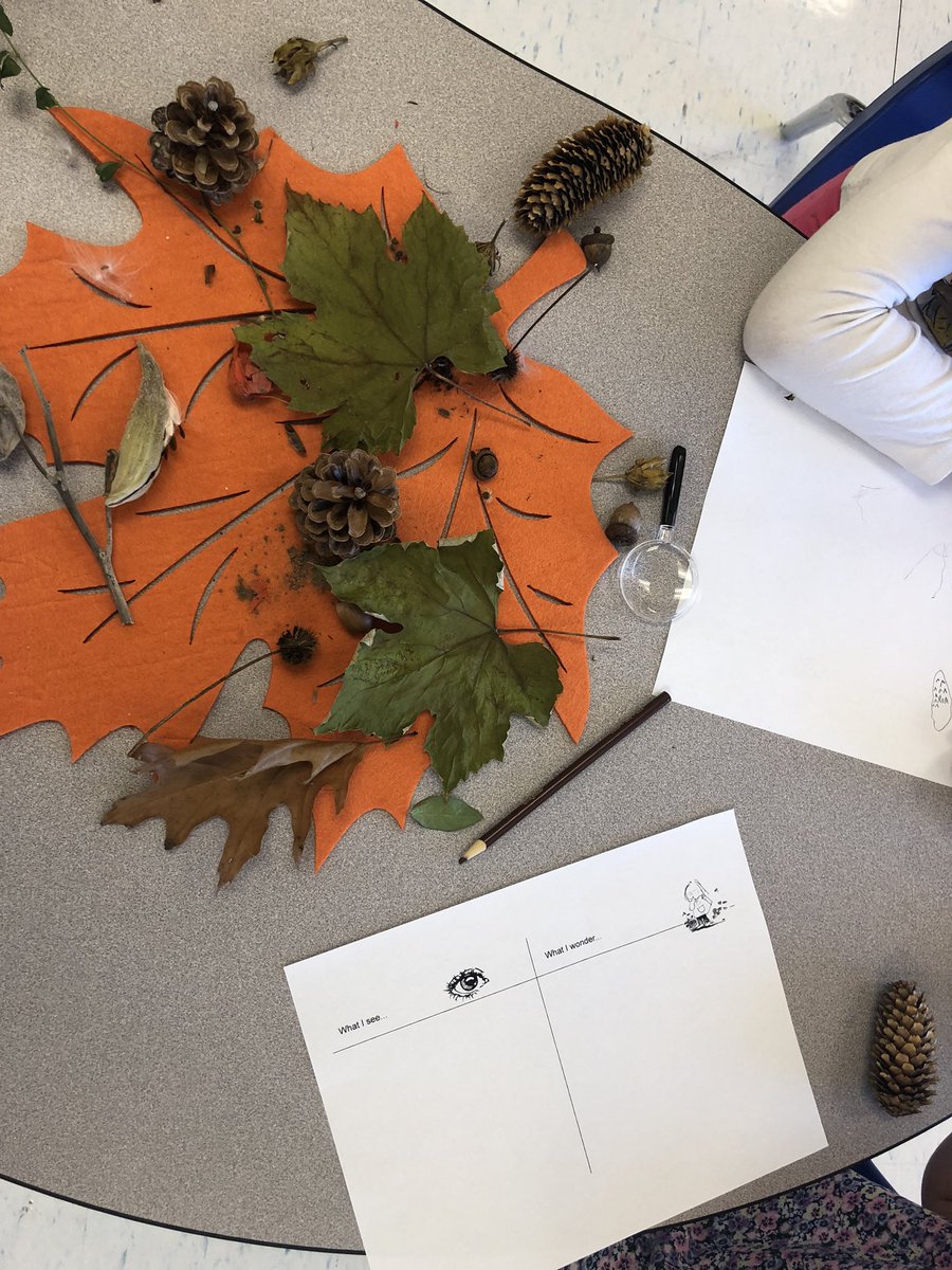 Our students have been making waves in our new library learning. #lovingthellc