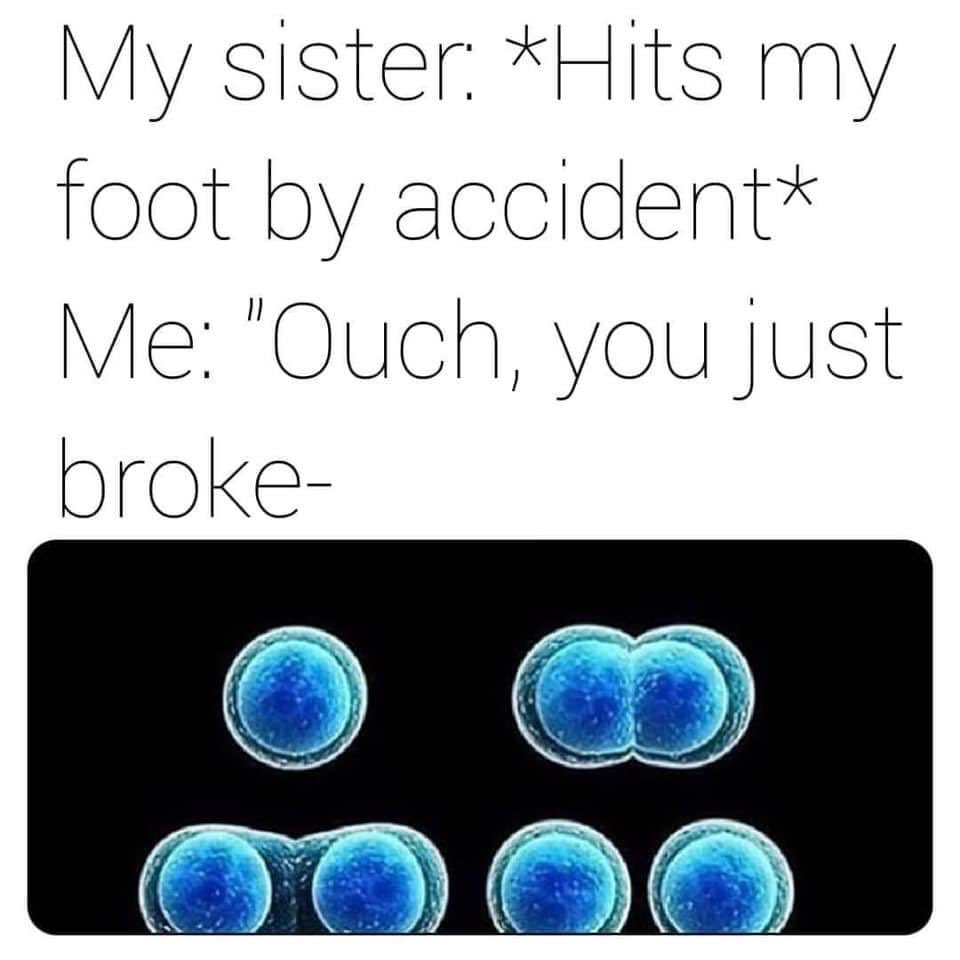 twynhamscience's tweet photo. For year 11 revising cell division 🤣 https://t.co/2TDBBEIYLF