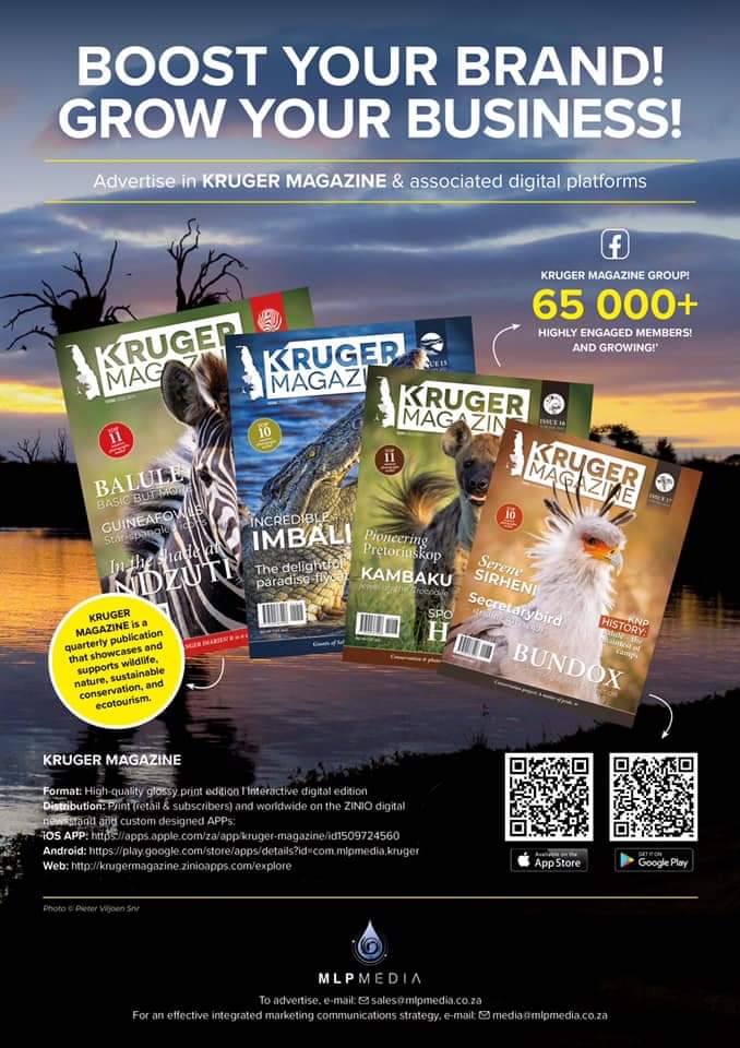 MagazineKruger's tweet photo. 𝙆𝙍𝙐𝙂𝙀𝙍 𝙈𝘼𝙂𝘼𝙕𝙄𝙉𝙀 𝙎𝙐𝙈𝙈𝙀𝙍 2021! 
𝙎𝙚𝙘𝙪𝙧𝙚 𝙮𝙤𝙪𝙧 𝙢𝙖𝙧𝙠𝙚𝙩𝙞𝙣𝙜 𝙚𝙭𝙥𝙤𝙨𝙪𝙧𝙚!
𝐏𝐨𝐩𝐮𝐥𝐚𝐫 𝐢𝐧 𝐏𝐫𝐢𝐧𝐭, 𝐏𝐨𝐩𝐮𝐥𝐚𝐫 𝐢𝐧 𝐃𝐢𝐠𝐢𝐭𝐚𝐥! 
Email sales@mlpmedia.co.za https://t.co/IR6VcgFwdn