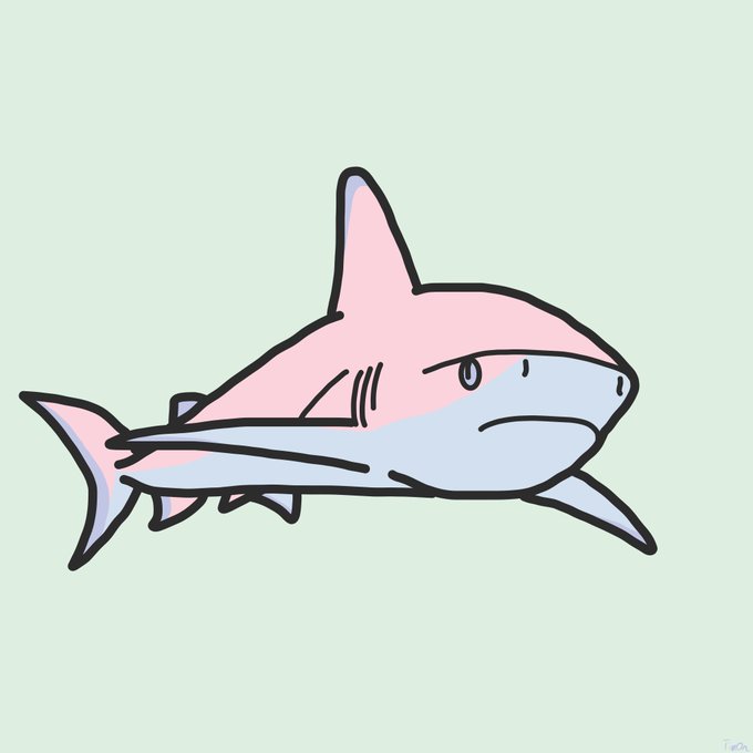 サメのtwitterイラスト検索結果