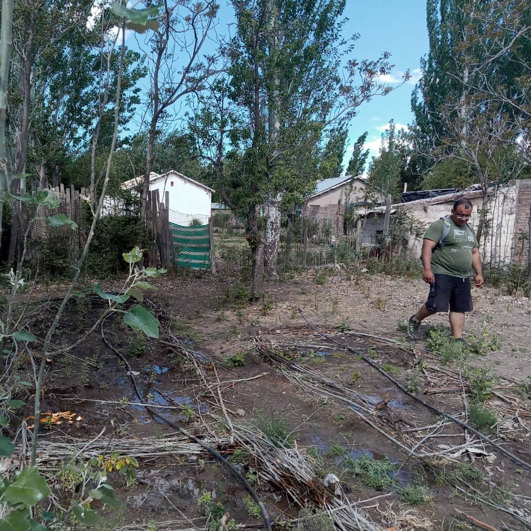 WillkakutiSR's tweet image. #Willkakuti continúa los trabajos con #aromáticas en el espacio compartido con @discapacidad_sanrafael . 
#programadeautonomiaalimentaria 
#plandeemergenciaalimentaria 
#tumunicipio