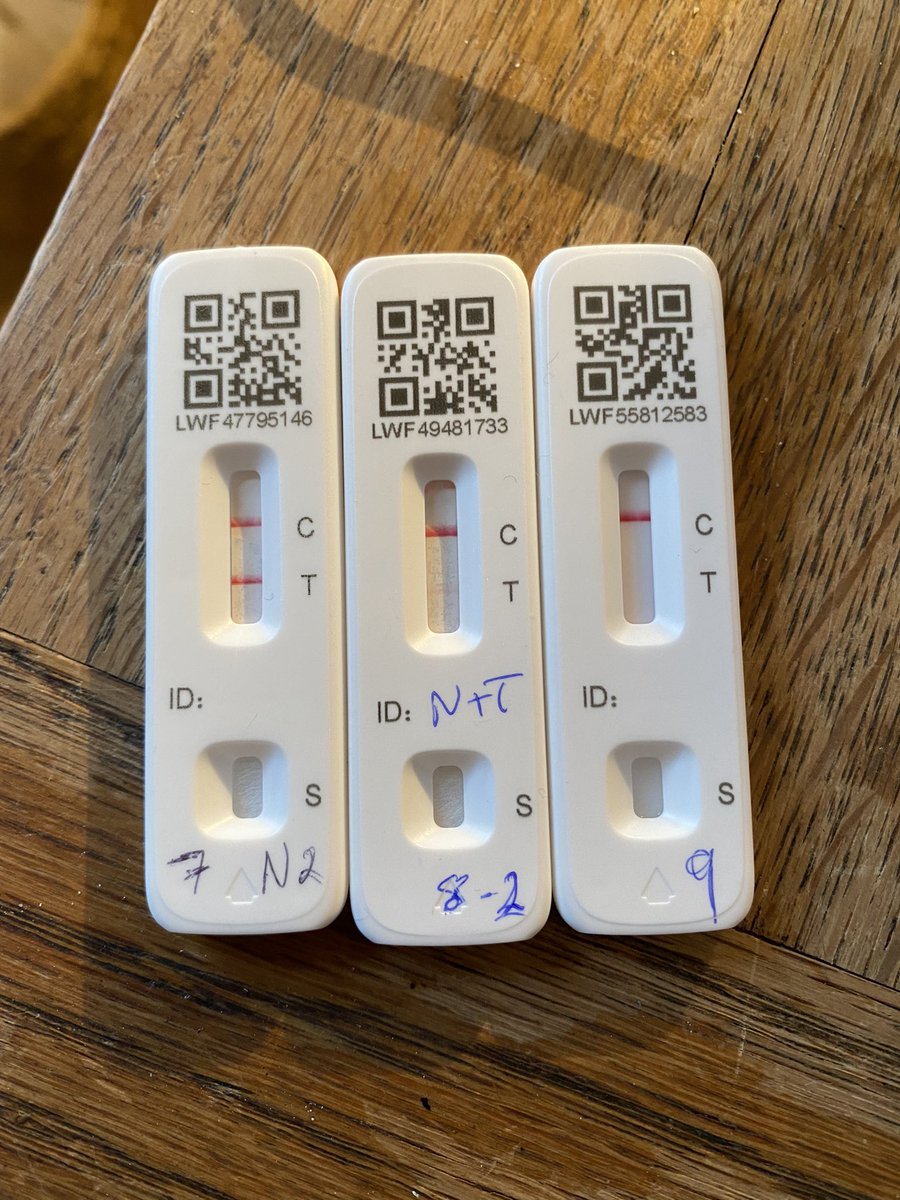 Sam Fazeli tweet media