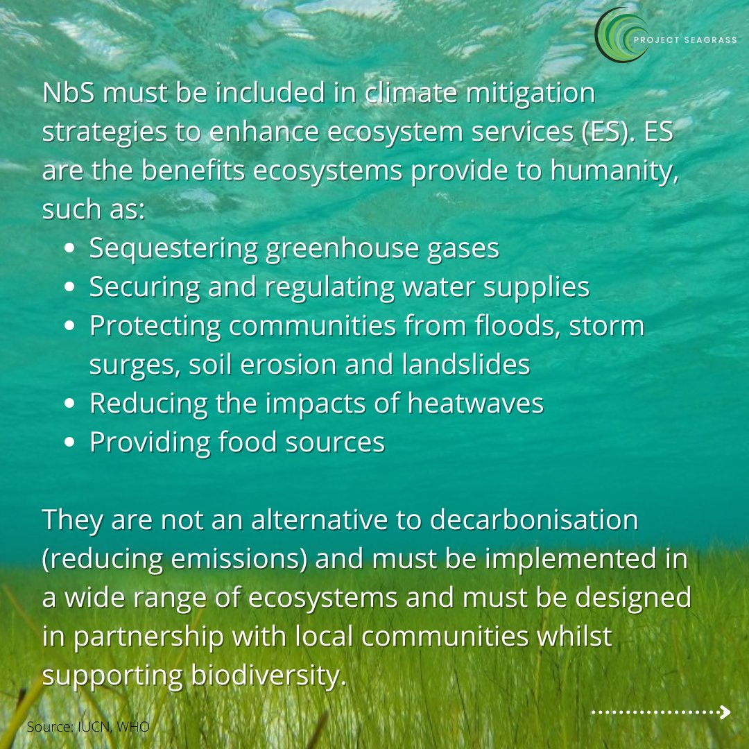 ProjectSeagrass's tweet photo. The climate emergency is intertwined with the destruction of our ecosystems. Yet, it is the protection and revival of our ecosystems that can combat the climate emergency.

Leaders at #COP26 must recognise the importance of #NatureBasedSolutions in mitigating climate change🌏🌱 https://t.co/Q0da2h6PHk