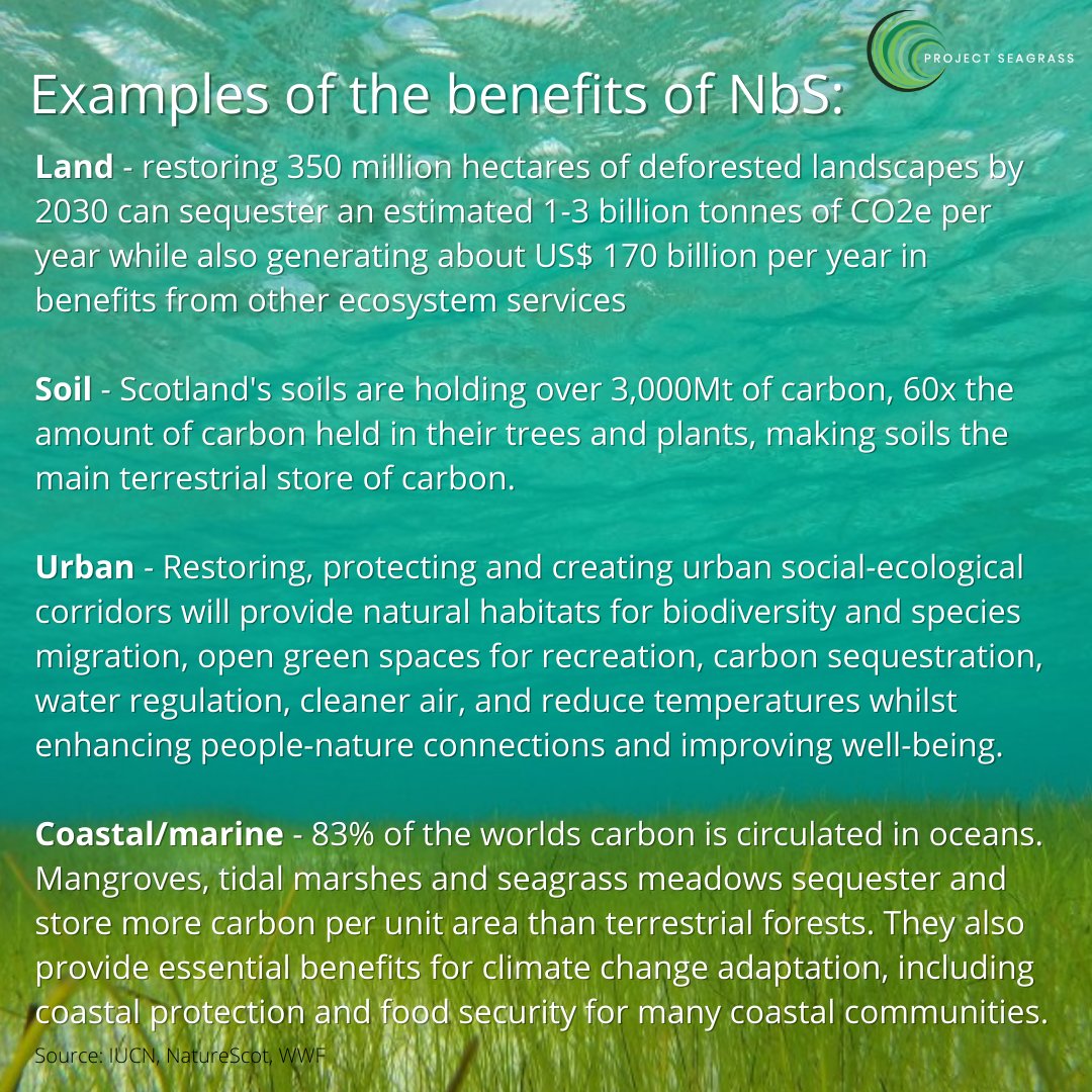 ProjectSeagrass's tweet photo. The climate emergency is intertwined with the destruction of our ecosystems. Yet, it is the protection and revival of our ecosystems that can combat the climate emergency.

Leaders at #COP26 must recognise the importance of #NatureBasedSolutions in mitigating climate change🌏🌱 https://t.co/Q0da2h6PHk