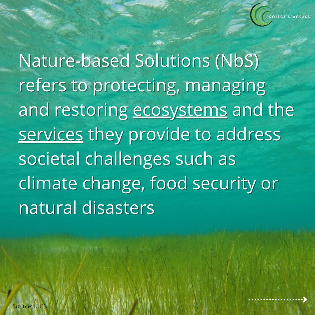 ProjectSeagrass's tweet photo. The climate emergency is intertwined with the destruction of our ecosystems. Yet, it is the protection and revival of our ecosystems that can combat the climate emergency.

Leaders at #COP26 must recognise the importance of #NatureBasedSolutions in mitigating climate change🌏🌱 https://t.co/Q0da2h6PHk