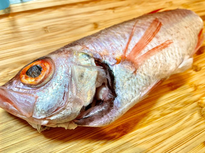 フルグラフィックファクトリーさん(@fgf_web )から、のどぐろいただきましたああああ! 