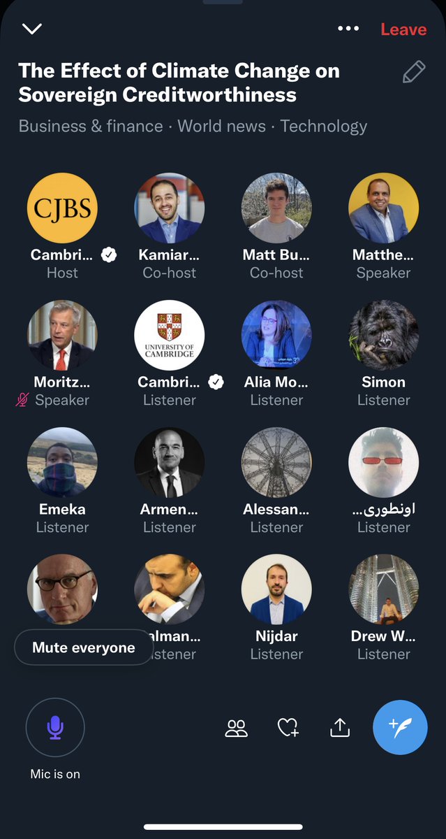 Our first @TwitterSpaces session &amp; I think it went well (except for that <a href="/PatrycjaKlusak/">Pati Klusak</a> couldn't join &amp; was hugely missed ☹️). Thanks to my amazing co-authors <a href="/MatthewAgarwala/">Matthew Agarwala</a>, @AwkwardFinance &amp; <a href="/MoritzKraemerDr/">Moritz Kraemer</a> for discussing our work showing #climate-driven downgrades by 2030!