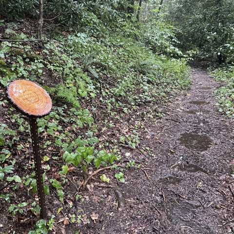 Hambidge Center tweet media