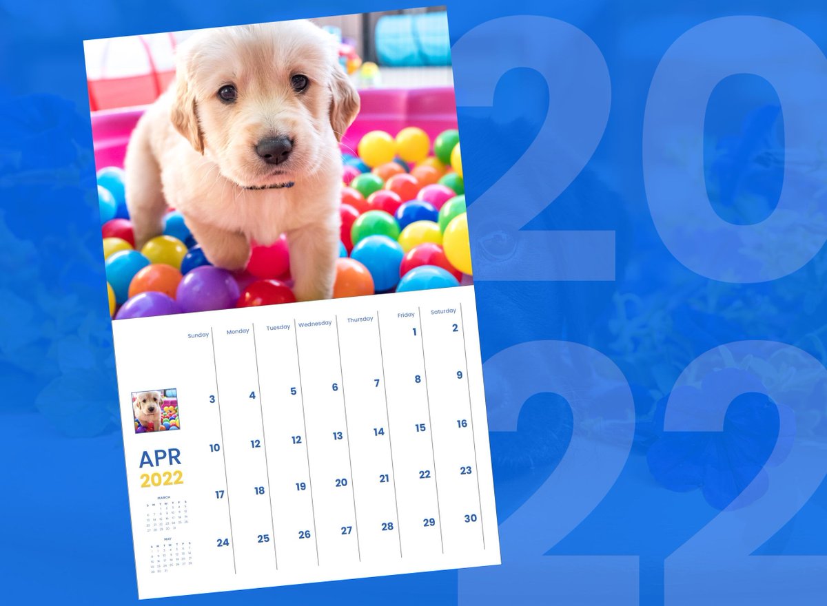 canineorg's tweet photo. What’s better than a #puppy? 365 days of puppies! With a $25 donation, you get a copy of the calendar and $60 in coupons for @eukanuba dog food. 🙌 #LeadWithIndependence #dog #servicedog Donate today: https://t.co/P2aVak1Yz9 https://t.co/9Yu4RyyWTJ