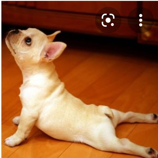 Top of the MORNING! ;) I hope you have a great day!