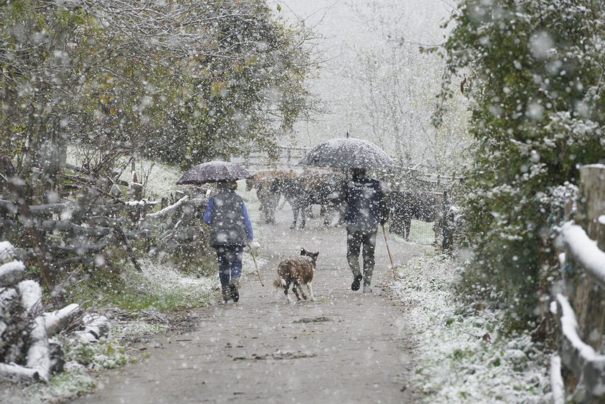 eltiempotpa's tweet photo. En Pendones (Caso), aparece la nieve
y nos dicen que "el ganao échase abaxo" https://t.co/bAFc0xeOzH