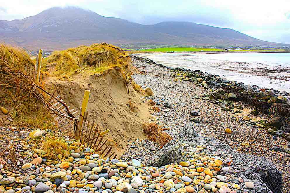 Kevin Lynch tweet media