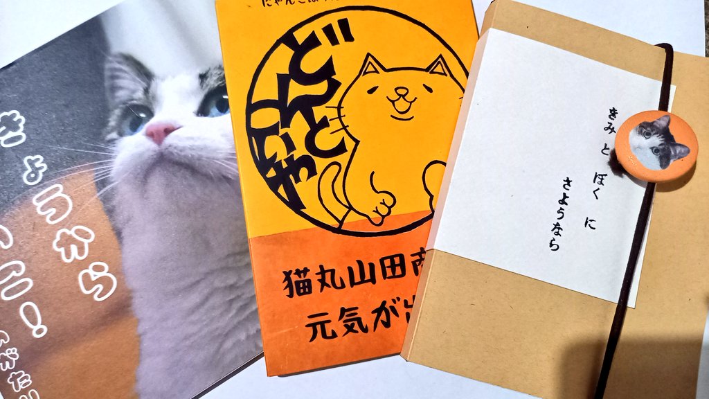 BOO-FOO-WOO (@crystalcatscafe - 猫 夏バテ