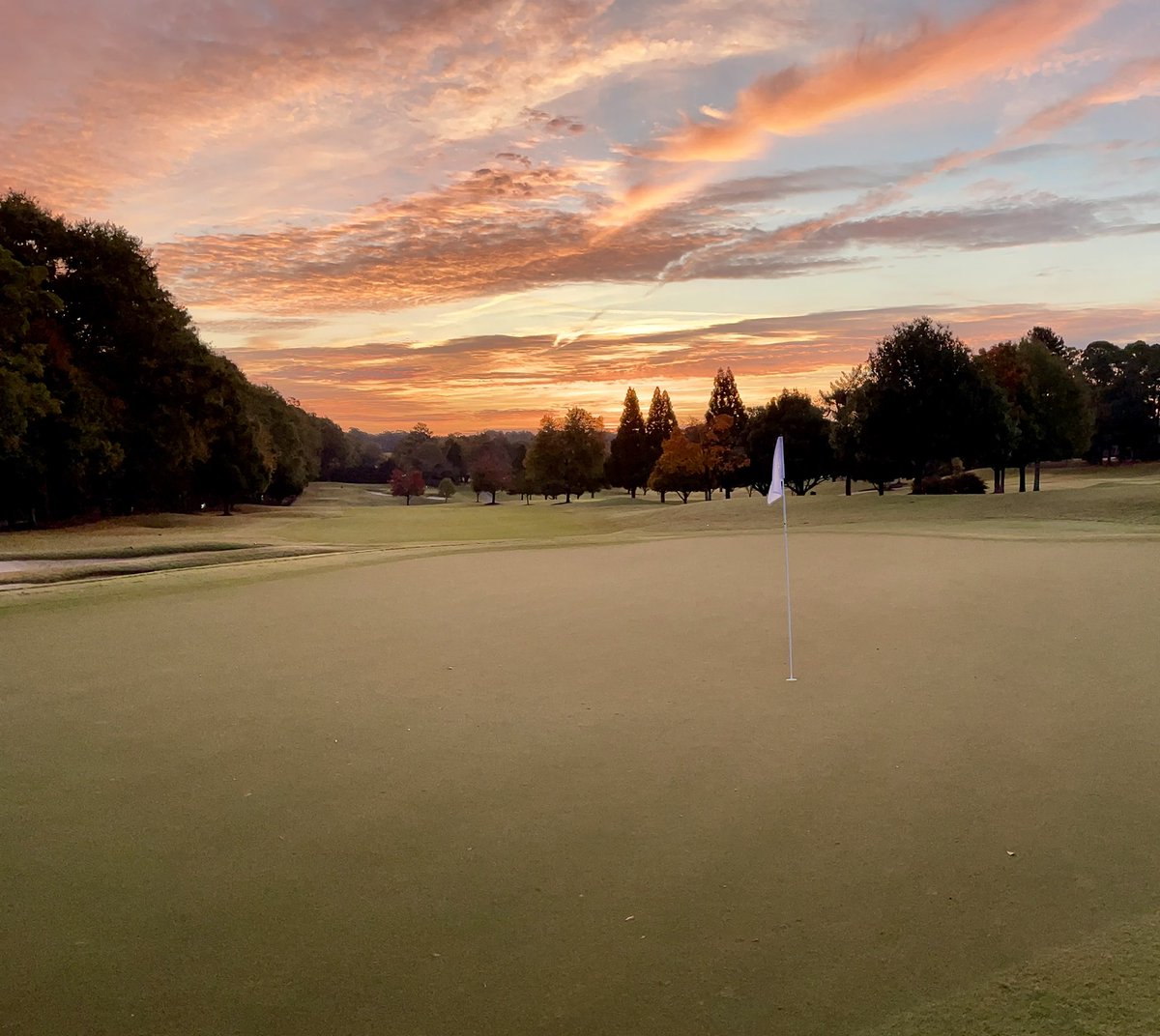 Taylor Luckado tweet media