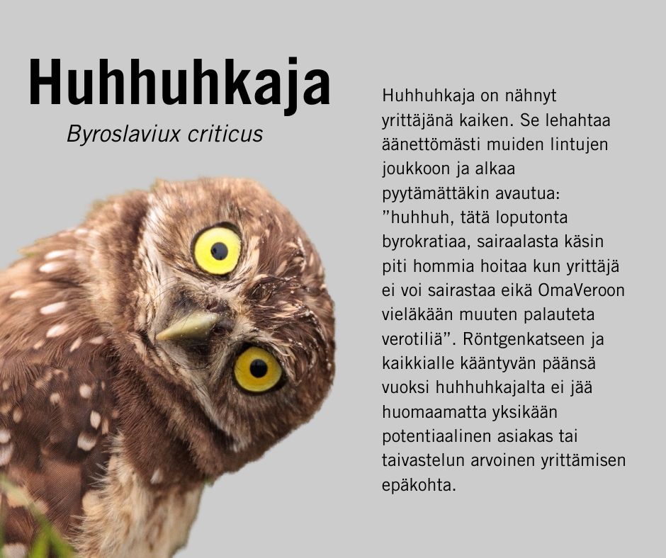 ElinaLappalaine's tweet photo. Huhhuh, pakko taas arvostaa @Verouutiset viestintää. Arvostamme erityisesti Fantasiaania @hs_visio #yrittäjät #kasvuyrittäjät Lisää lintuja: https://t.co/cAdTd5iyal https://t.co/WNIf2x5nyK