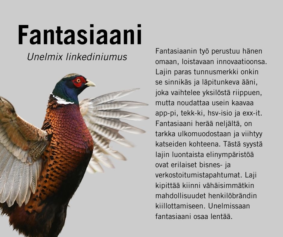 ElinaLappalaine's tweet photo. Huhhuh, pakko taas arvostaa @Verouutiset viestintää. Arvostamme erityisesti Fantasiaania @hs_visio #yrittäjät #kasvuyrittäjät Lisää lintuja: https://t.co/cAdTd5iyal https://t.co/WNIf2x5nyK