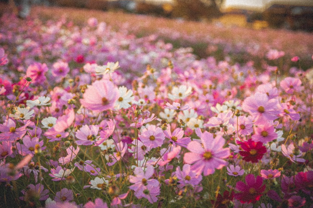 hrt_404's tweet photo. 🎞 https://t.co/YH3BRYfTUX