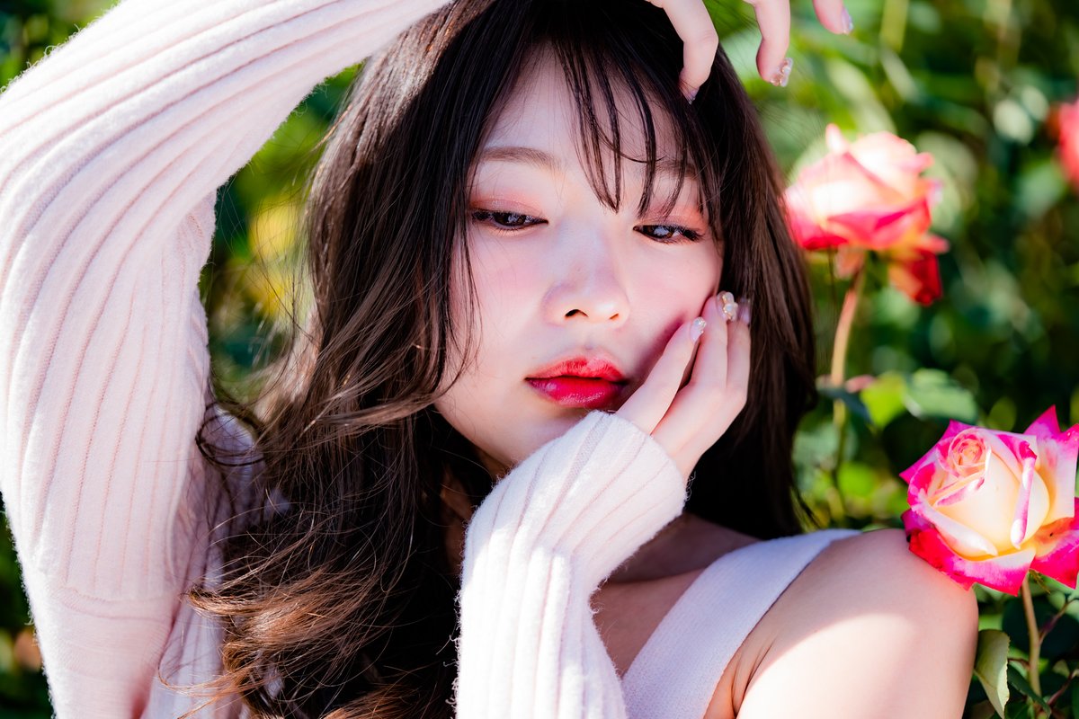 knock1965's tweet photo. #桜ゆりか   ~Red Rose~

#RoseGarden 
#portrait 
#photography 
#bimage https://t.co/w5l5lQ1Yee