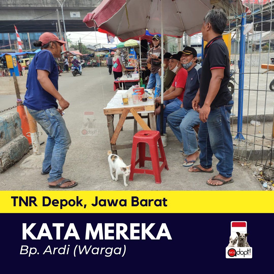LetsAdoptInd's tweet photo. TNR kedua Depok, Jawa Barat berhasil diselesaikan berkat dukungan @NbrhoodCats , @leonvetsgroup , Rumah Steril , Sobat Satwa Depok dan @HappyCat_ID 

Nah, kali ini kita mau sharing kesan TNR melalui sudut pandang warga dan street feeder, Pak Ardi https://t.co/w47lHycO5u