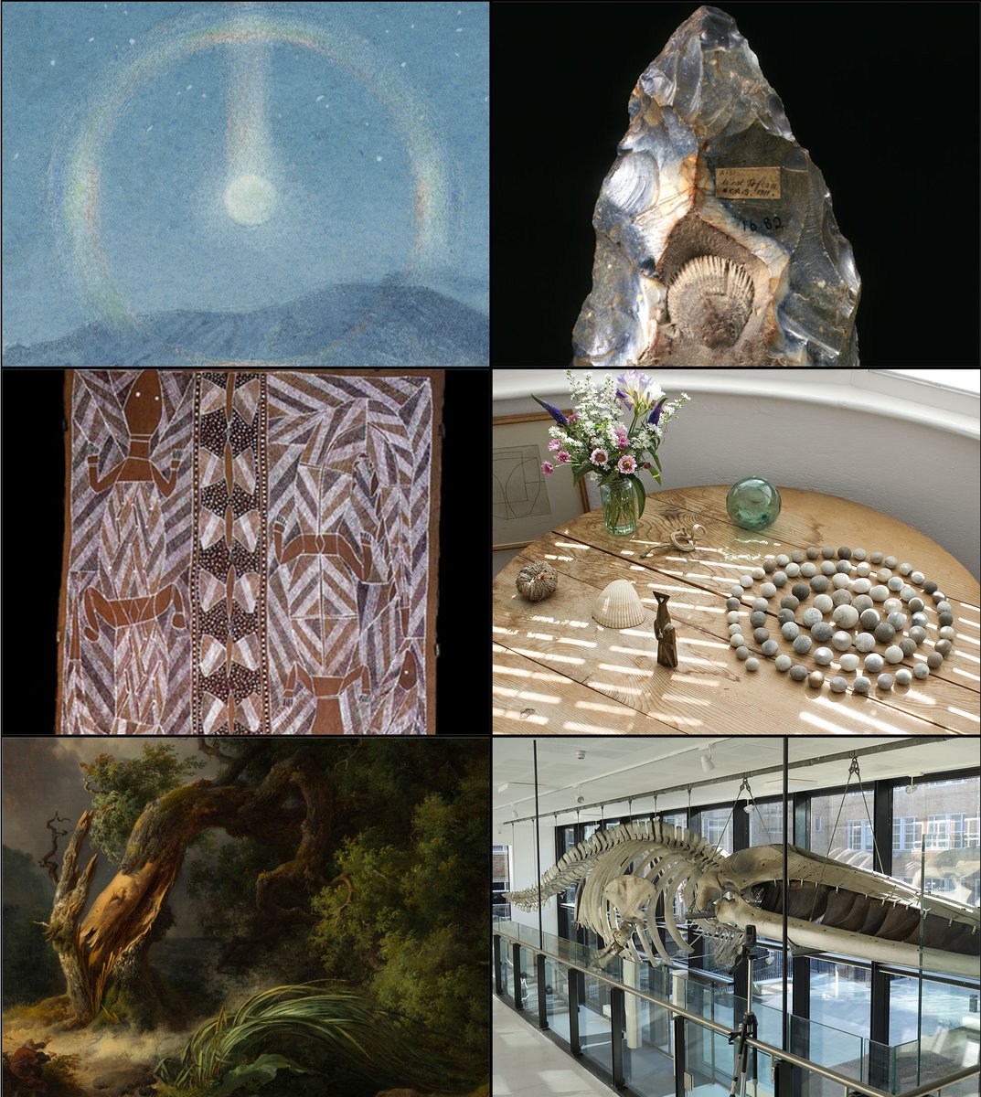 SedgwickMuseum's tweet photo. Teachers! Educators across the @CamUnivMuseums are leading bespoke online CPD sessions, connecting you and our collections creatively with the natural world. Inspire: Nature Sessions explore Water, Skies, Trees, Viewpoints &amp; Rocks. More here:  https://t.co/sJj8DoHBUI https://t.co/DN4UejLgcB