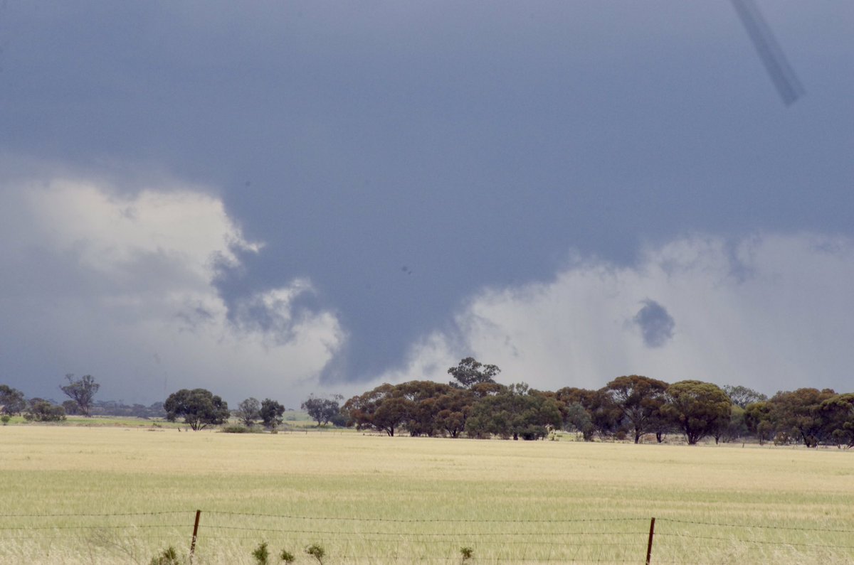 PaulYole's tweet image. A couple of shots today from Hopetoun around 12pm, 3/11/21 @JaneBunn @sexysezzie @FloofiBoi @samanthachiari @KristieLloyd2 @JoshHoltTEN @KLijnders @vicwx @Johnted_113 @SevereWeatherAU @BOM_Vic @EmmaKealyMP @nat_forrest #chasinglife #wimmerastorms