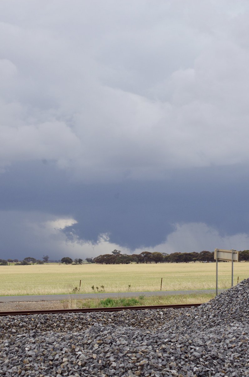 PaulYole's tweet image. A couple of shots today from Hopetoun around 12pm, 3/11/21 @JaneBunn @sexysezzie @FloofiBoi @samanthachiari @KristieLloyd2 @JoshHoltTEN @KLijnders @vicwx @Johnted_113 @SevereWeatherAU @BOM_Vic @EmmaKealyMP @nat_forrest #chasinglife #wimmerastorms
