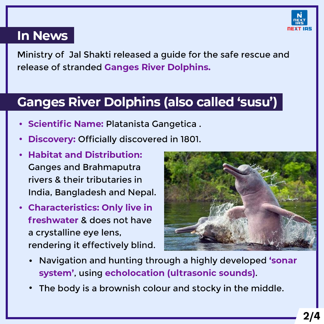 NEXTIAS_Delhi's tweet photo. Daily Infographics (03-11-2021)
Topic: Ganges River Dolphin
For more infographics, please click
https://t.co/i4DwhlU5bV
#infographics #November #November3 #nextias #india #wednesdayvibes #WednesdayWisdom #MinistryOfJalshakti #ganges #river #dolphins #sonarsystem #echolocation https://t.co/CIdvheaTnV