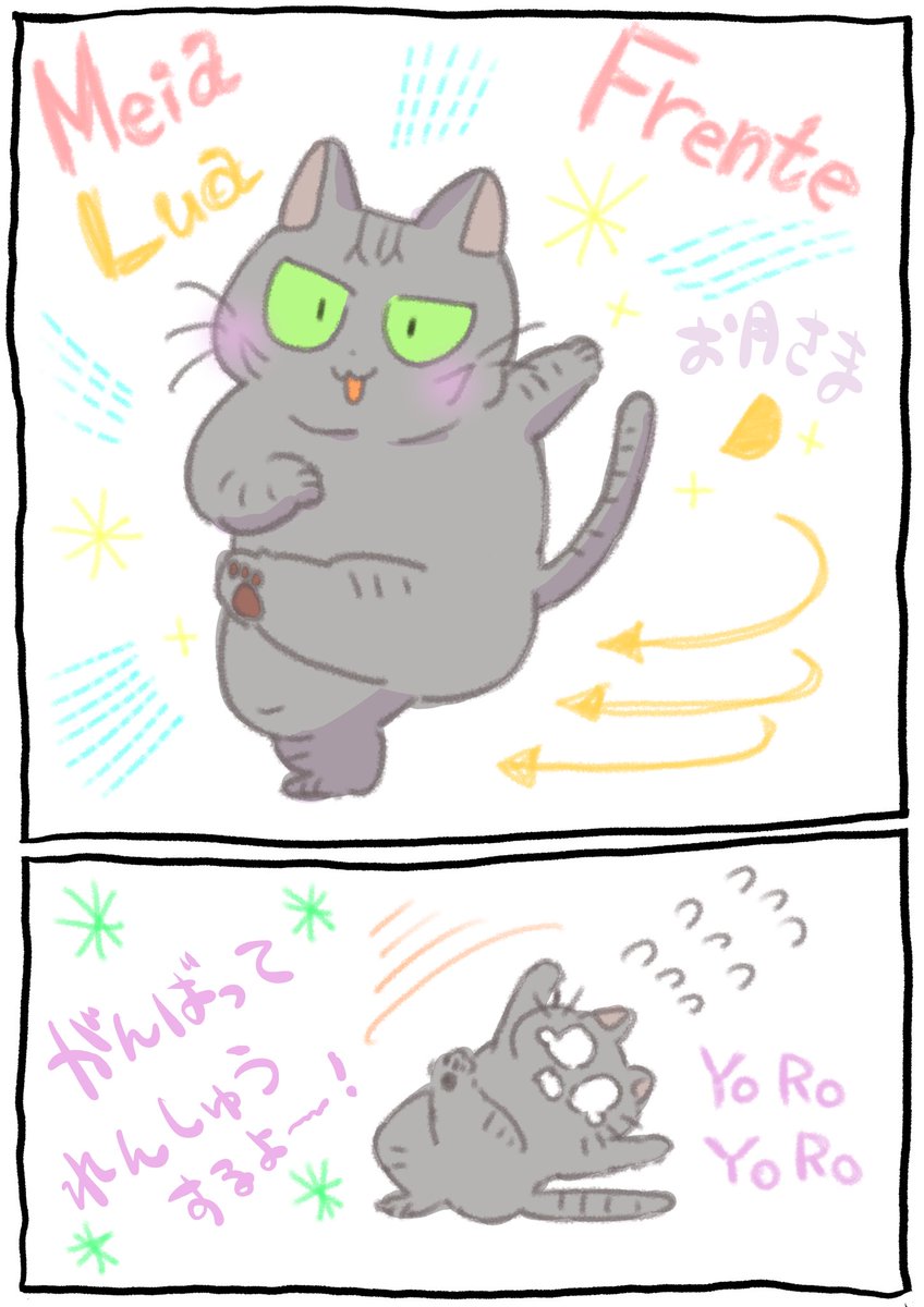 メイアルーアジフレンチとねこちゃん🌙 