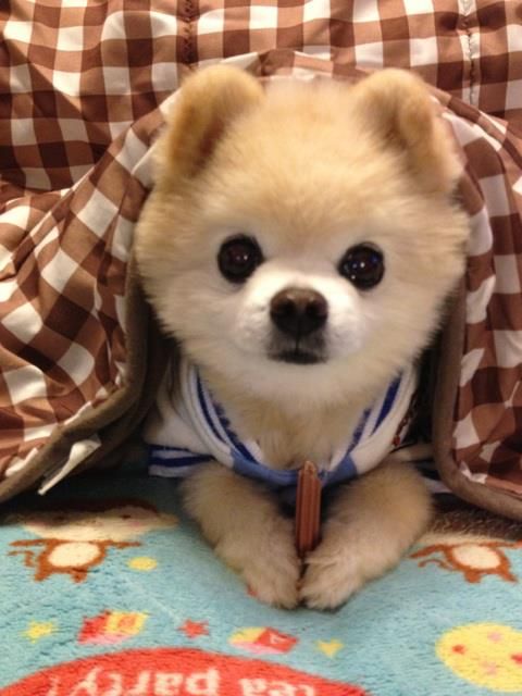 Marilou858's tweet photo. https://t.co/7i2k1f008o